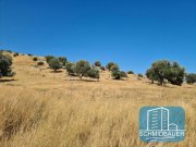 Agios Pavlos Kreta, Agios Pavlos: Großes Grundstück mit Meerblick zu verkaufen Grundstück kaufen